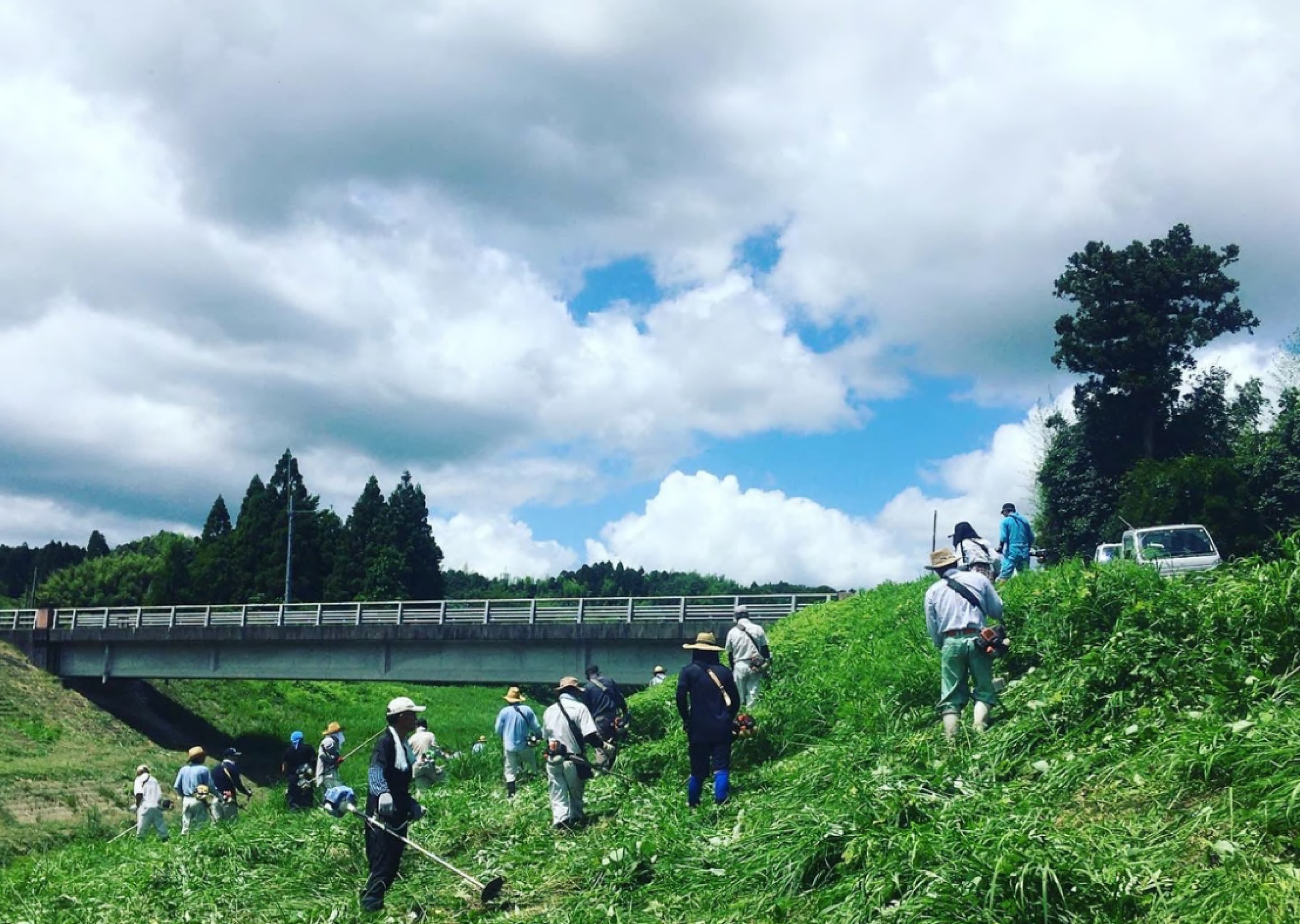 地区行事・河川の草刈り（豊原）