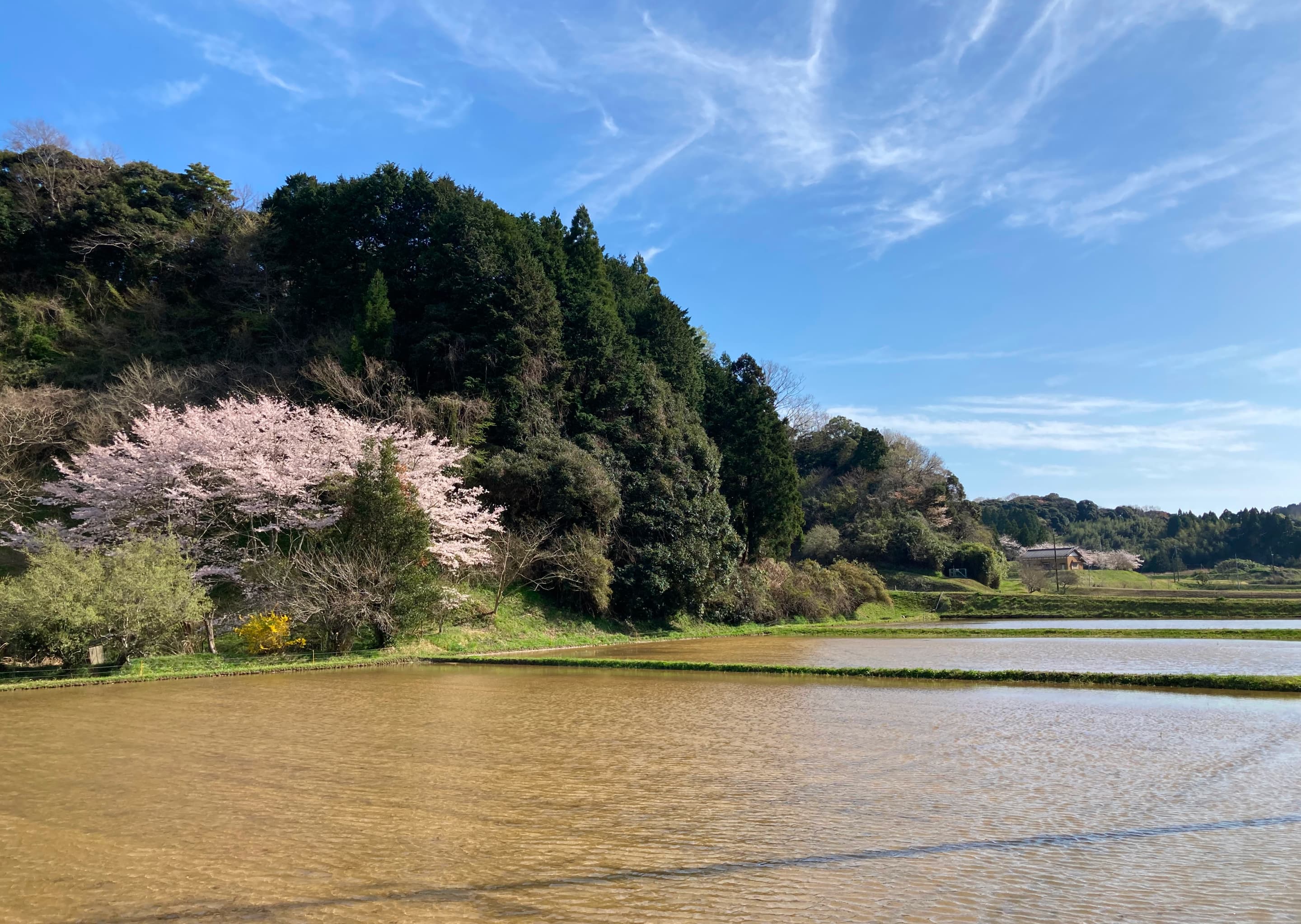 田植え前の里山風景（上小野田）