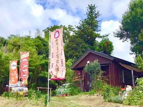 カフェこっとんぼーる